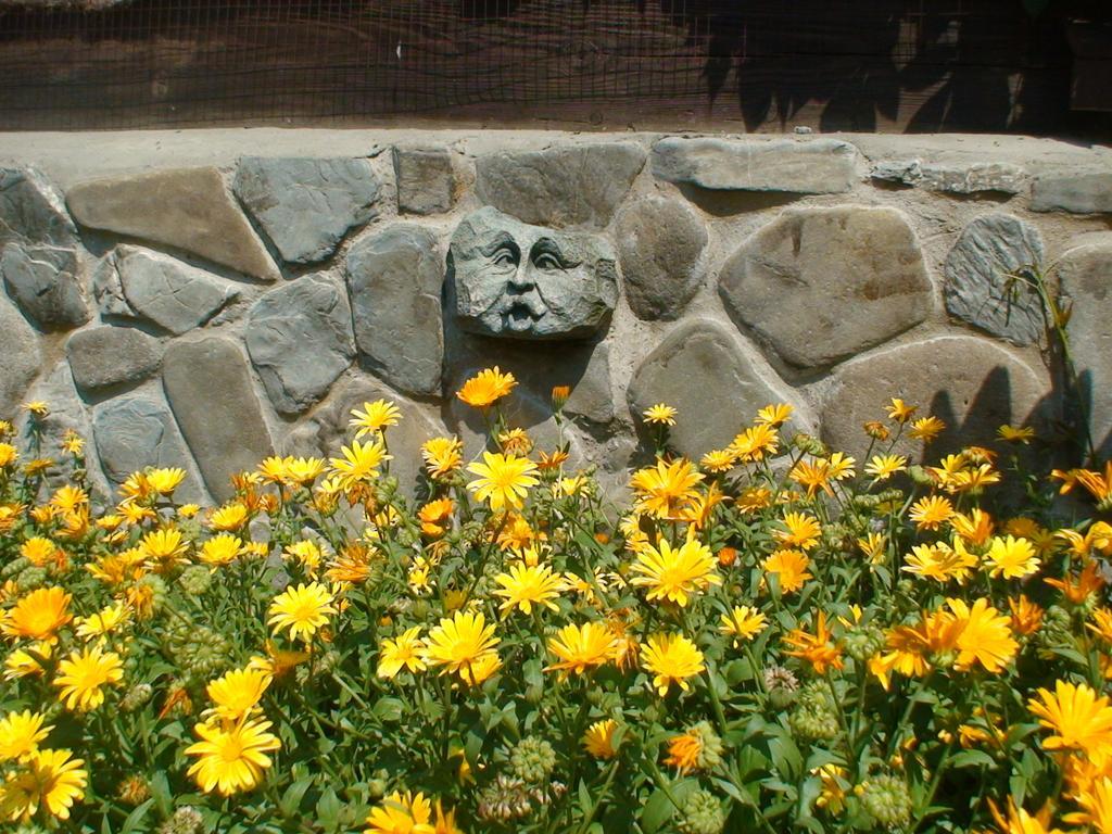 Gostynniy Dvir Raytshtoky بيت ضيافة